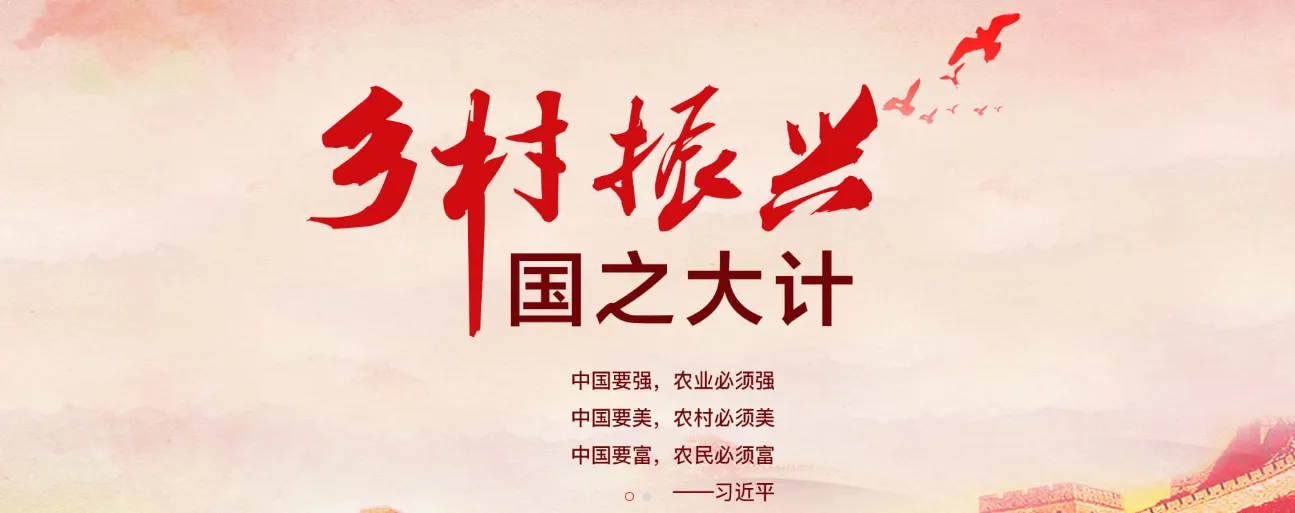 中共中央办公厅 国务院办公厅印发《乡村建设行动实施方案》